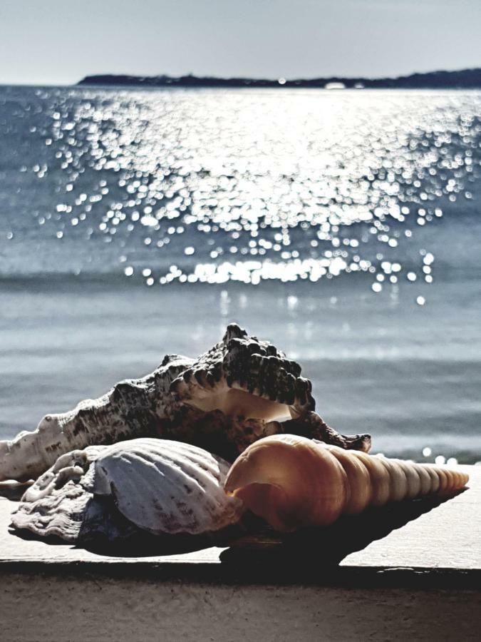 Morning Star Deluxe Daire Chernomorets Dış mekan fotoğraf